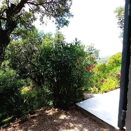 Everblue - Domaine Prive - Piscine 생트막시메