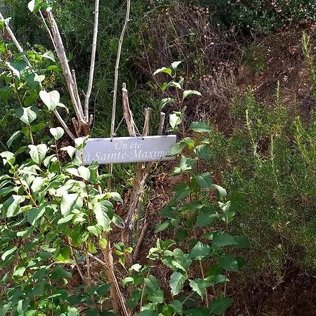 Everblue - Domaine Prive - Piscine *