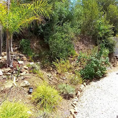 Everblue - Domaine Prive - Piscine Sainte-Maxime