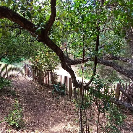 Everblue - Domaine Prive - Piscine * Sainte-Maxime