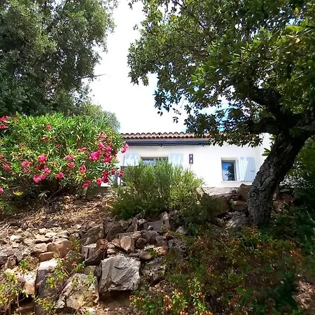 Everblue - Domaine Prive - Piscine Holiday home Sainte-Maxime