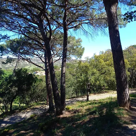 Everblue - Domaine Privé - Piscine * Sainte-Maxime