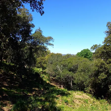 Everblue - Domaine Privé - Piscine *