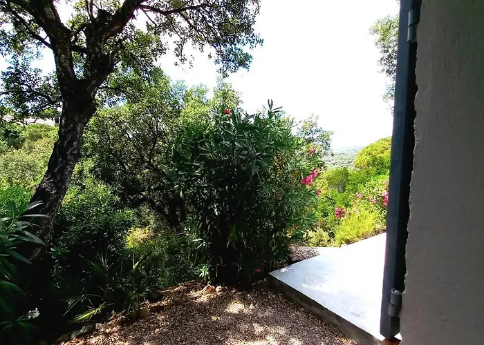 Everblue - Domaine Prive - Piscine Sainte-Maxime