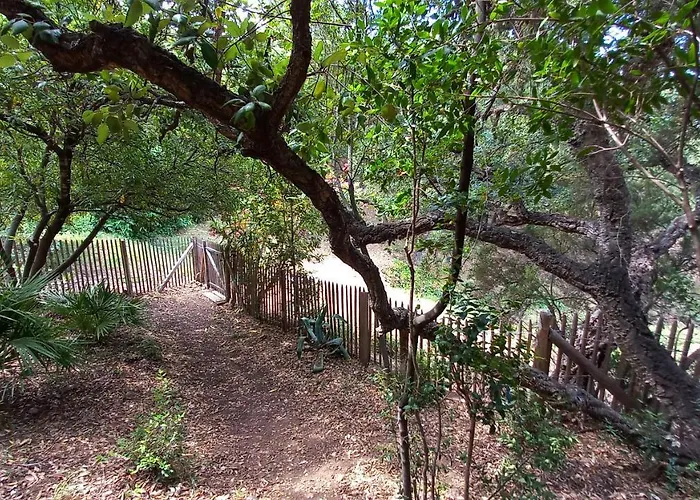 Everblue - Domaine Privé - Piscine * Sainte-Maxime