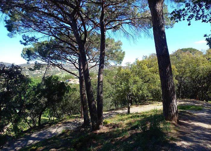 Everblue - Domaine Prive - Piscine * Sainte-Maxime
