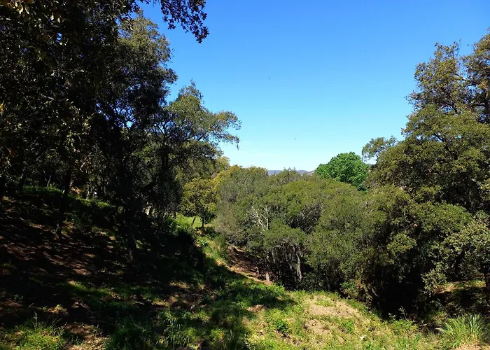 Everblue - Domaine Privé - Piscine *